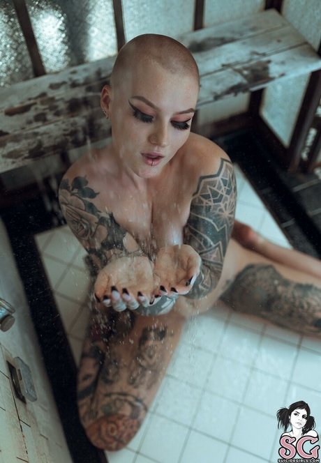 Sierhaus xxx star images