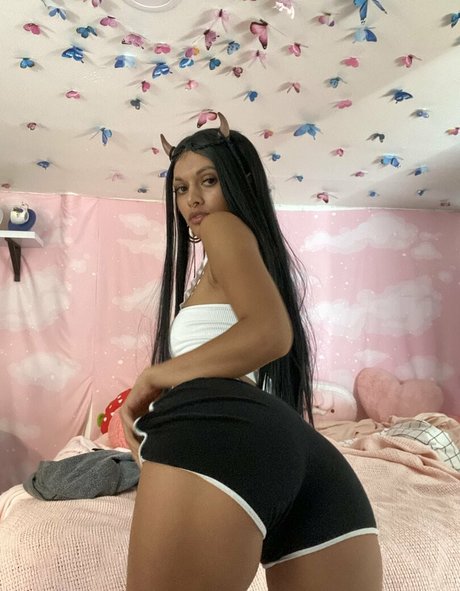 perkyytits hd star images