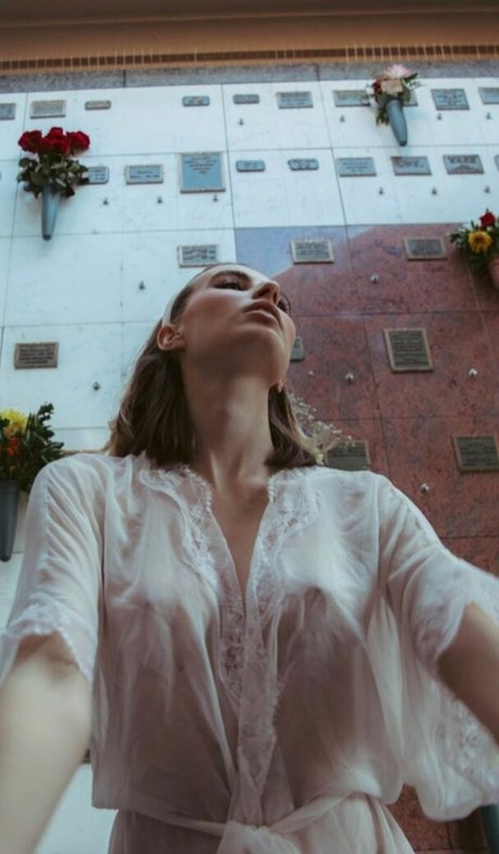 Reese Taylor pornstar adult galleries