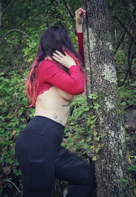 jdm queen 83 free pornstar images