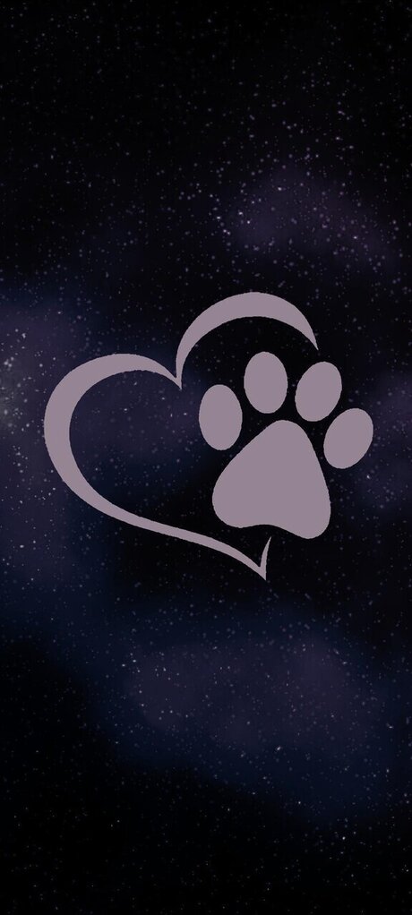 Queenwolf 12 perfect pornstar pics