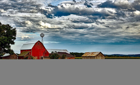 Pearl s Babes_ pornstar nudes pic