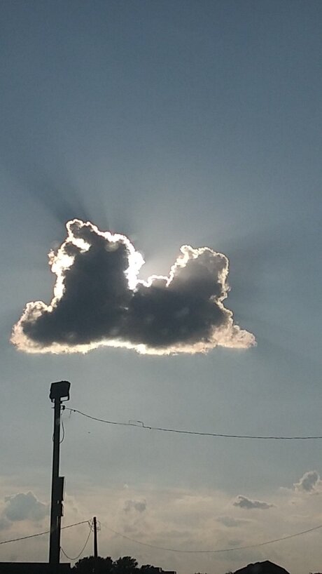 Mer boy11 nudes star galleries