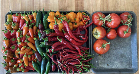 GardenPapi model nudes pics