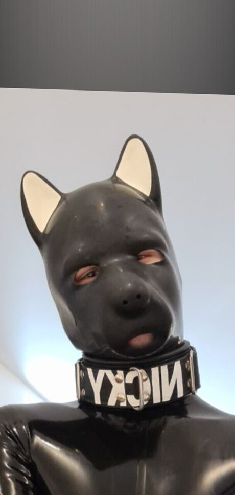 PupNicky pornstar pretty img