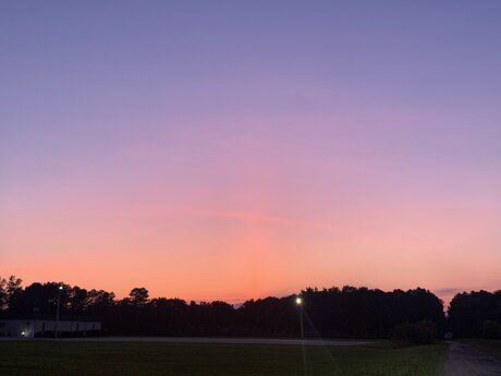 Jp384 model pretty archive