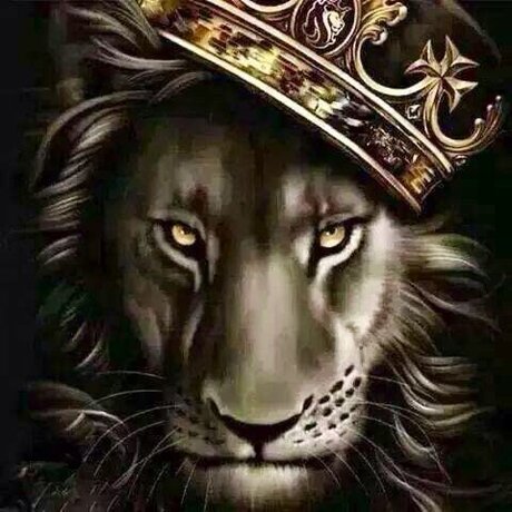 dominic steele star nice pic