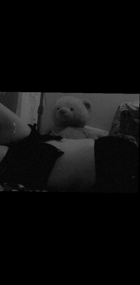 Sun and Moon free star img