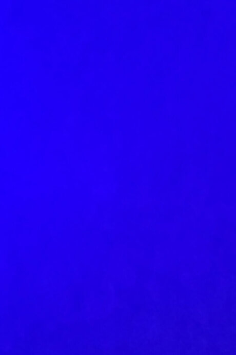 Shy girl amp lt3 sex star galleries