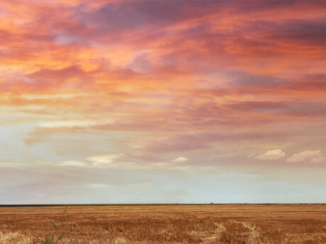 Kristian Zaz perfect star image