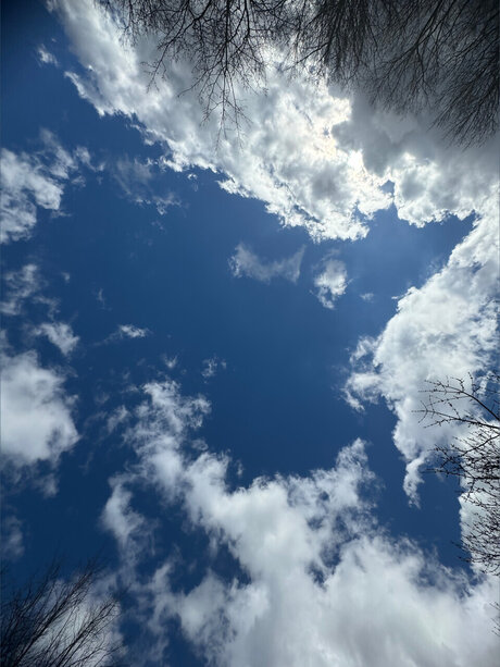 Hoe2WHOLESOME star exclusive gallery