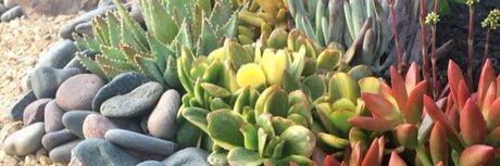 Nova Grace naked actress gallery