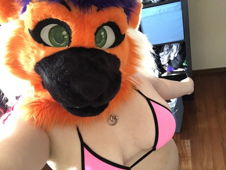 _Highness pornstar sex archive