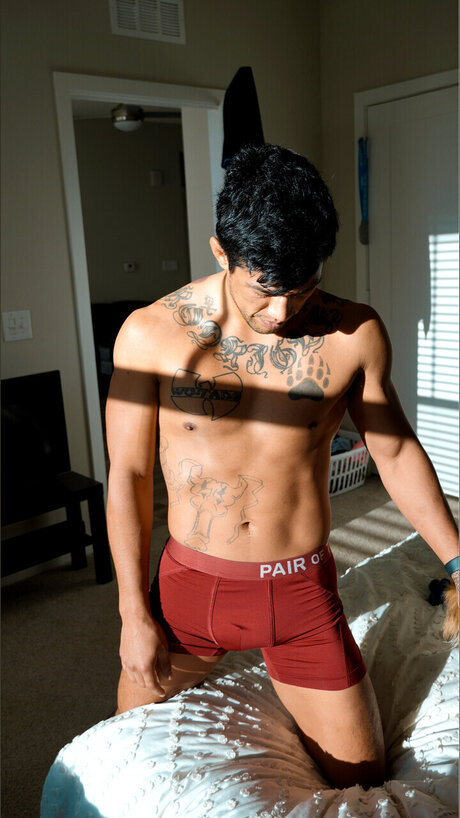 Jay Rodriguez free star archive