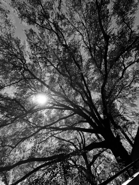 retr04ctive nice actress galleries