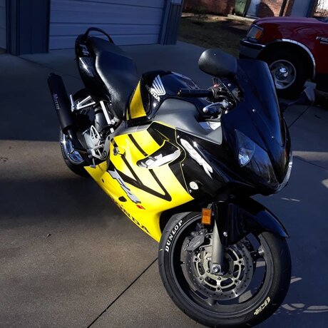 Chris Cordon porn star galleries