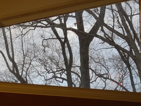 Trans M lf exclusive model picture