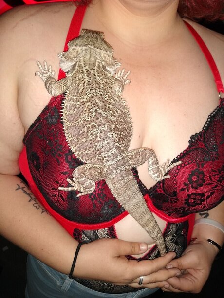 Bad bitches pornstar sexy gallery