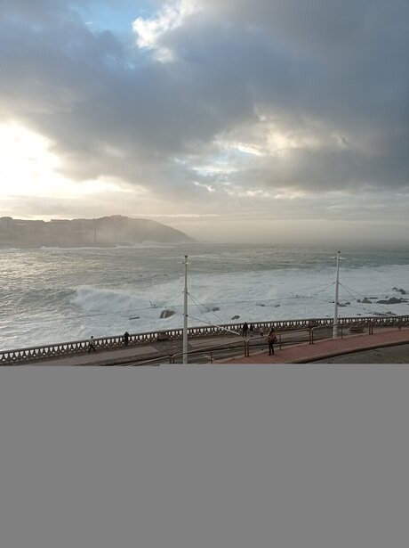 Caribbean Cinnamon high quality star images