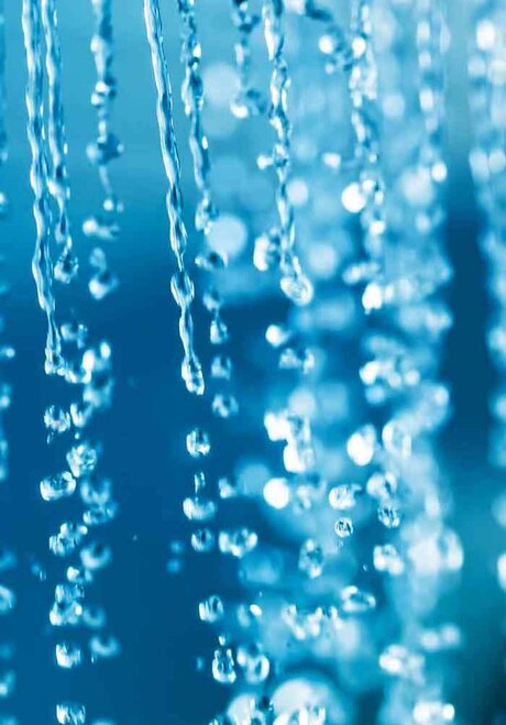 u78035663 adult star image