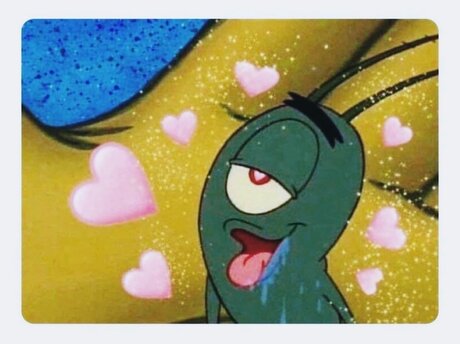 Dynasty_ star perfect galleries