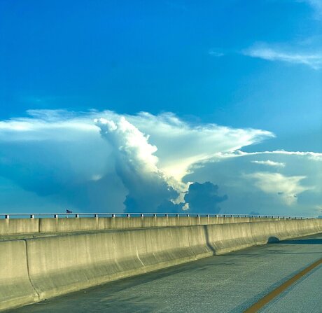 Gustavo Troche erotic star img