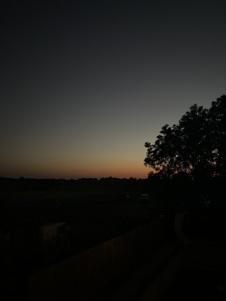 lexx star nice gallery