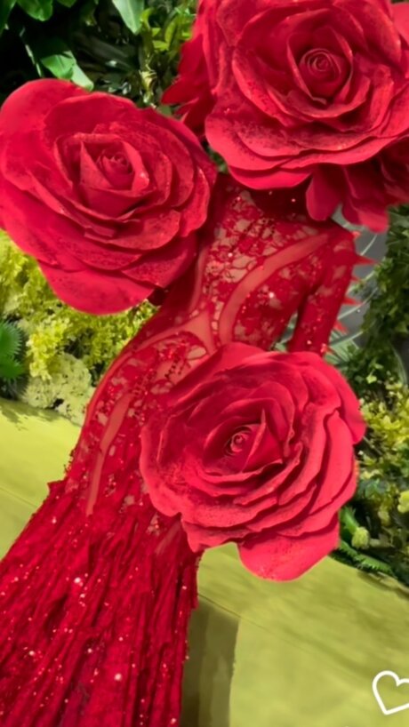 Honor star art photos