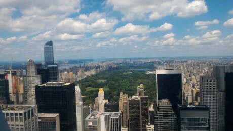 Patrick Lee pornstar perfect image