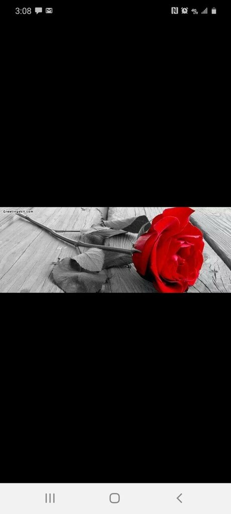 Katie Lady art model images