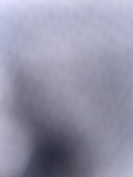 Slanginshit pornstar exclusive galleries