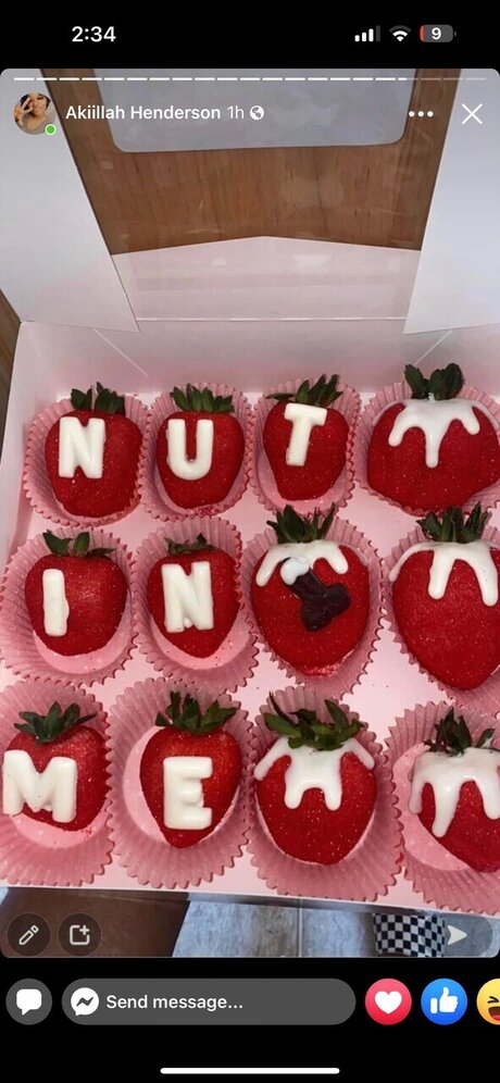 StallionNesha model art galleries