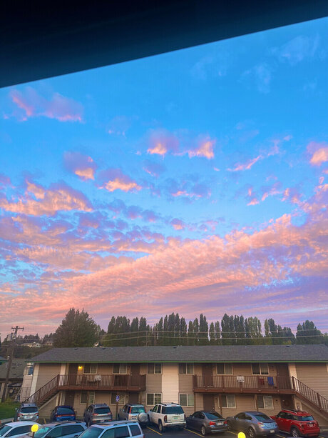 Sativa Syd pornstar sex photo