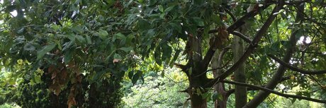 Curt s Acting Naughty free star images