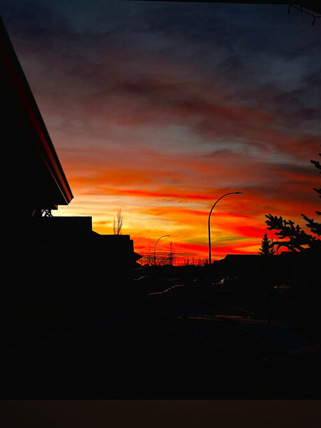 Ella May nude model photos