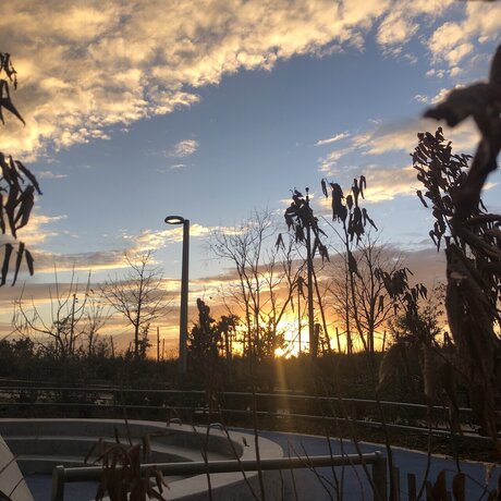 Ander Alejandro pornstar sex photo