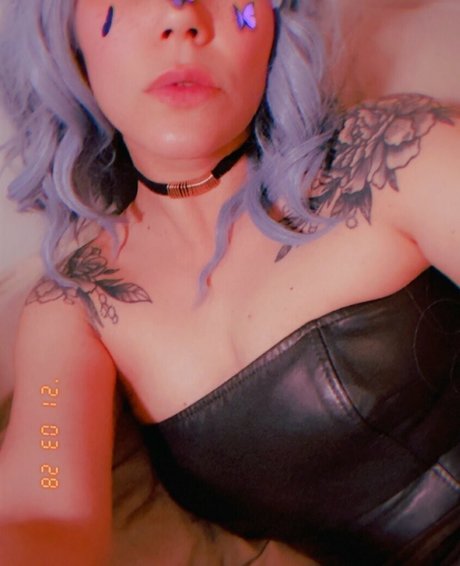 samurai cat star img