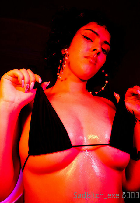 sadbitch exe perfect star galleries