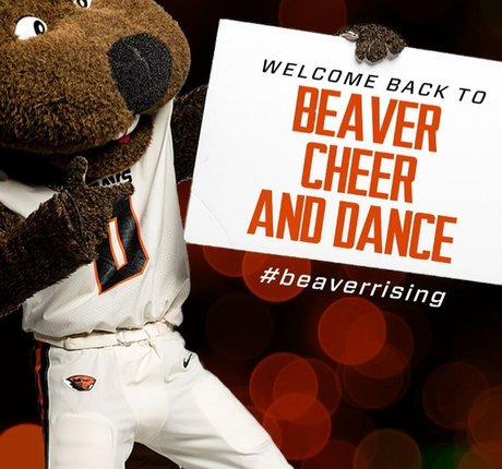 Taylor Johnson Cheer hd actress image