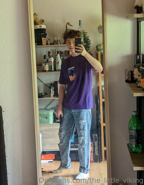 the little viking star art pic