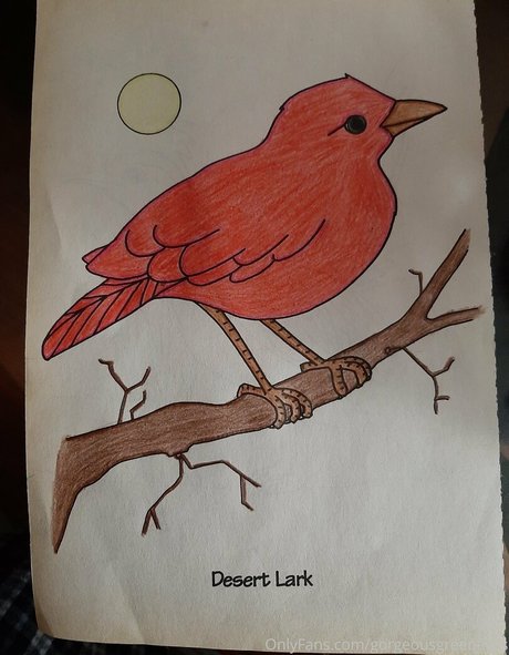 gorgeousgreeneyes star free photo