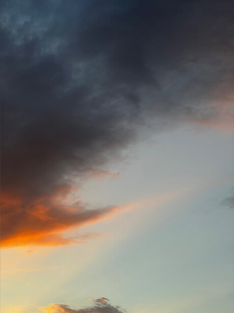 Marcus Fills free pornstar gallery