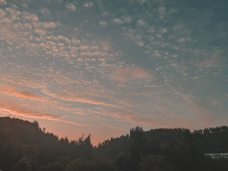 moro porn model image