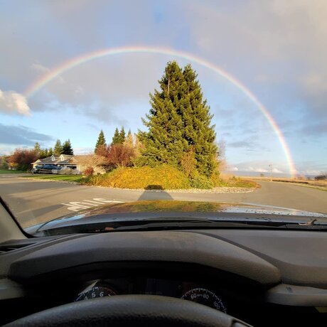 Rooster erotic model gallery