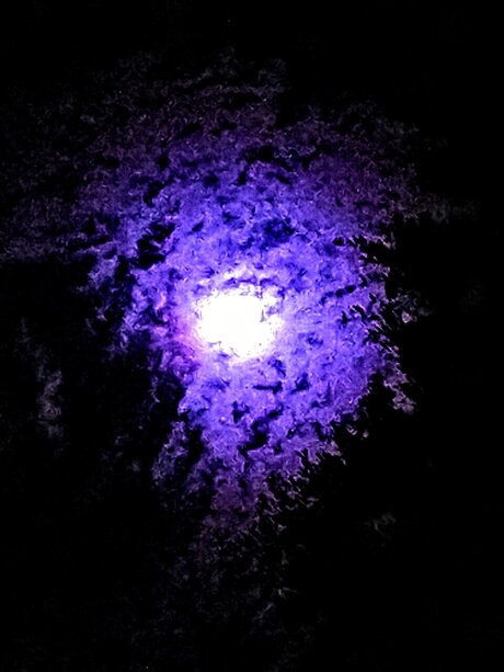 WireFramed star perfect pics