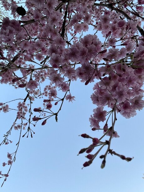 Cathy hot star gallery