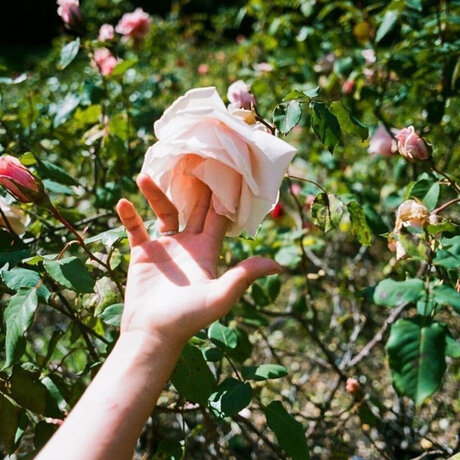 Miss Laia pornstar naked pic