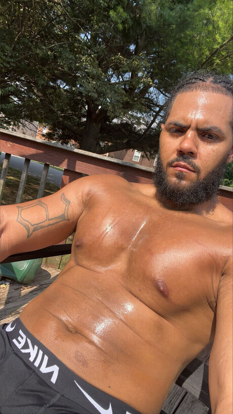 DOG beautiful star galleries