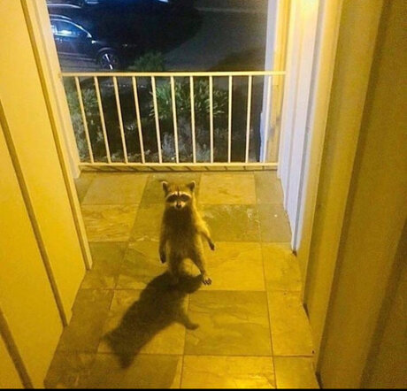 Franklin model high quality photos