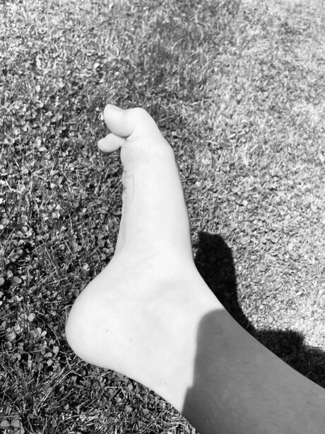 Foot Enjoy perfect star pic